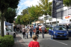 IMG_2240