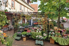 Gassenmarkt-2025-Blumen-Emig-02