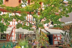 Gassenmarkt-2025-Blumen-Emig