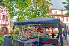 Gassenmarkt-2025-Drachenschule